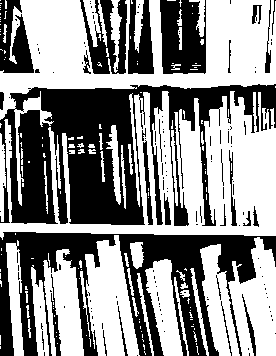 Bücherregal im Antiquariat Bücherregal im Antiquariat